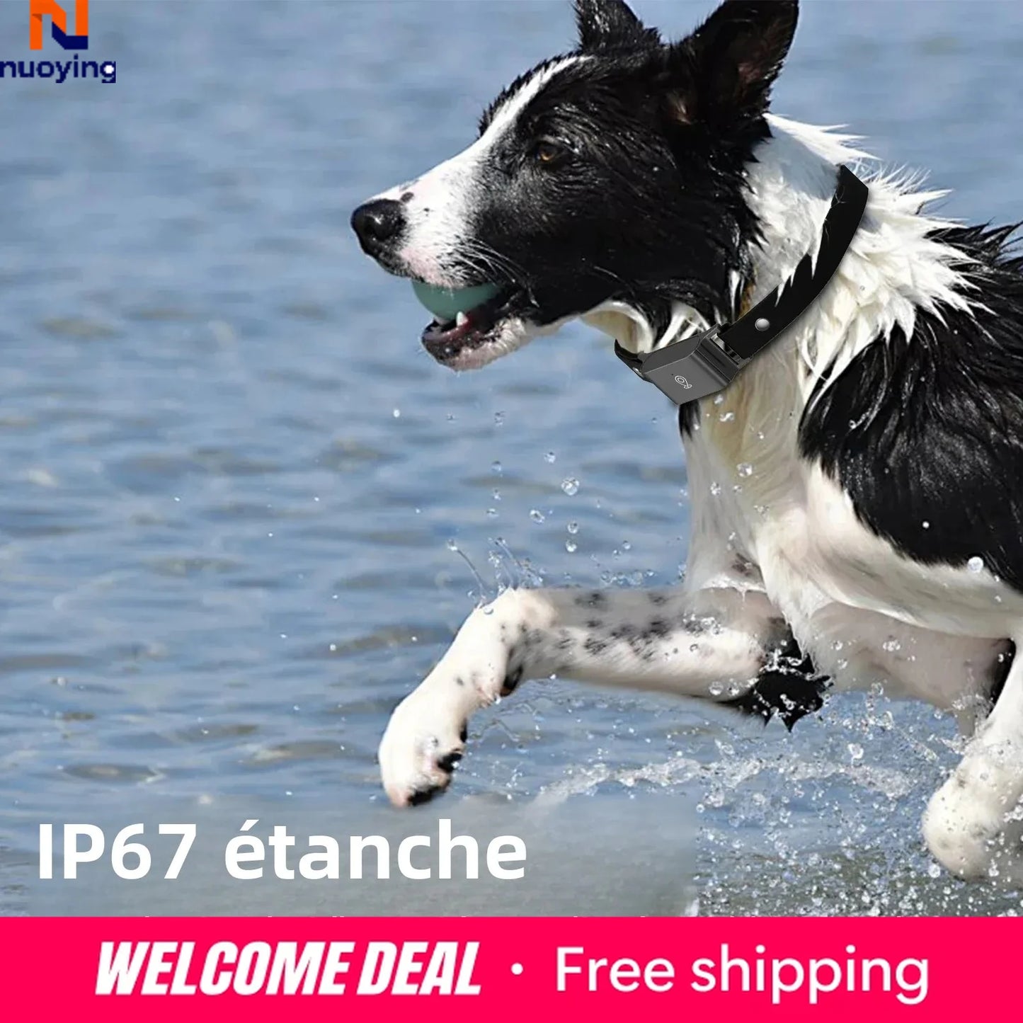 Collar GPS 4G Localizador para Perros y Gatos